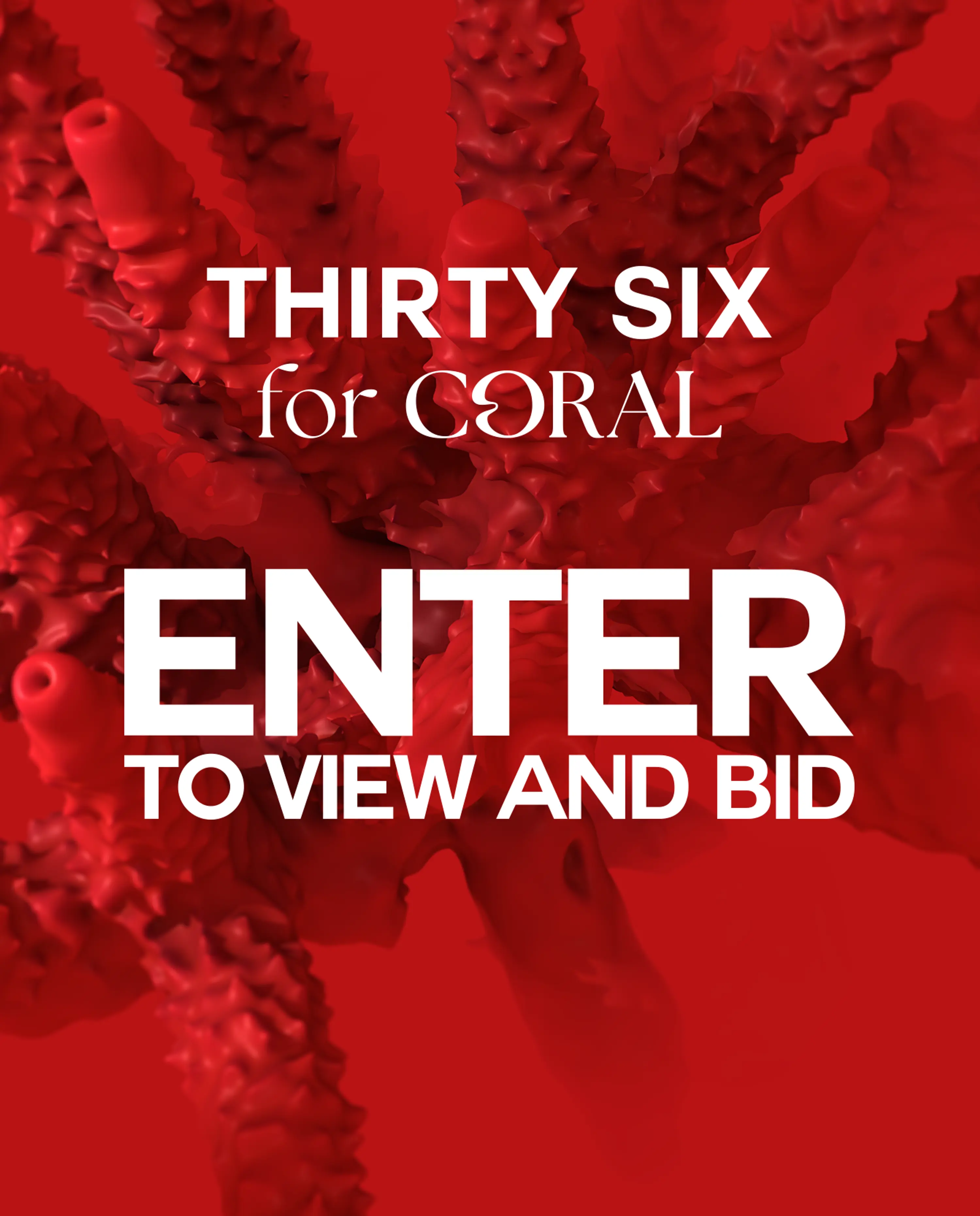 Coral Collective image